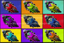 Warhol bikes