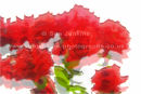 roses are red