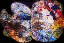 ........... a burst of colour