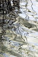 spring sky reflected