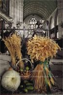 harvest