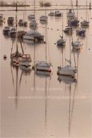 muted morning marina