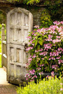 Barrington Court Door