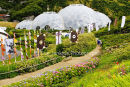eden domes