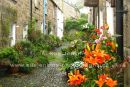 newlyn cottages