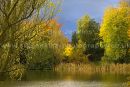 sherborne castle lake