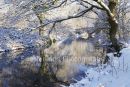 cold day, cool tones