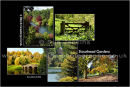 Stourhead Gardens*