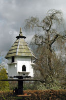 dove cote