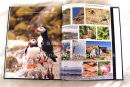 double page spread showing full page useage