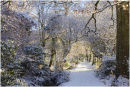 crisp walk