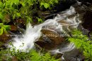 silken stream