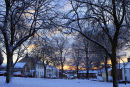 snow on the green