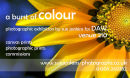 Dorset Art Weeks