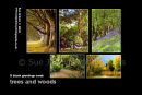 new ..... trees and woods