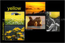 yellow