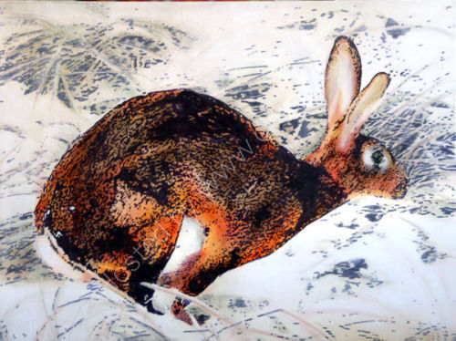 March hare