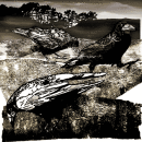In the wake of the plough