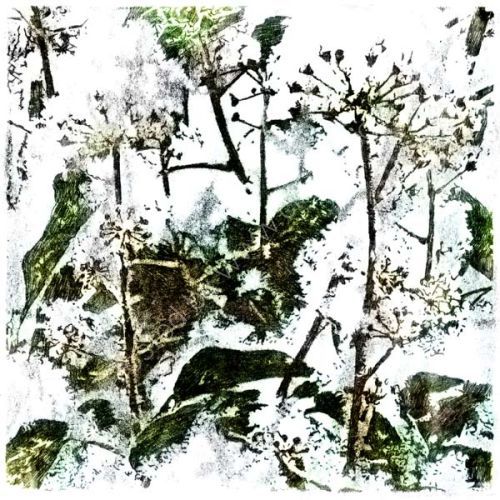Gaelic tree alphabet
g: gort: ivy