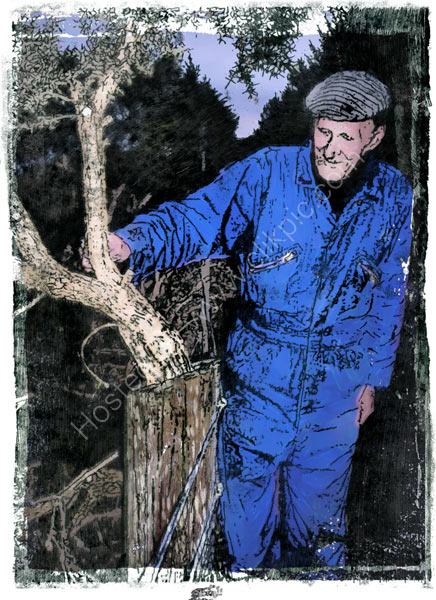 Jim's whin bush