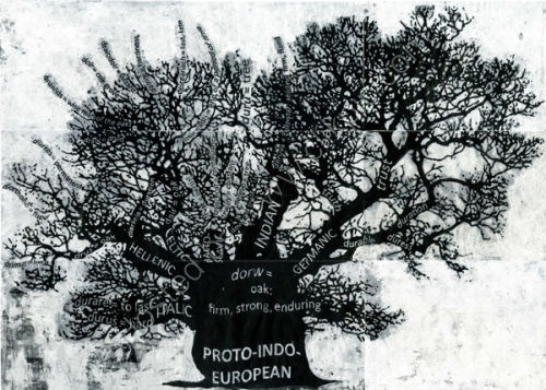 Oak