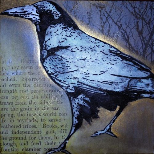 Rooks with sturdy walk