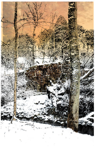 Winter trees, Big Burn