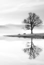 Bassenthwaite