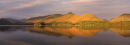 Cat Bells     