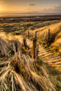 Evening Breeze  Solway Coast