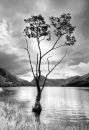 High Water  Buttermere