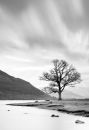 Hursthole Point  Bassenthwaite