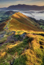  Late Summer  Cat Bells 