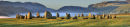 Mid Summer  Castlerigg