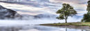 Morning Mist  Bassenthwaite