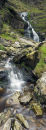 Moss Force