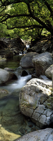 Galleny Force Langstrath
