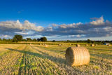 English Countryside in late August