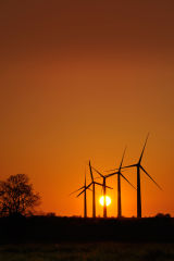 Wind Turbine Sunset
