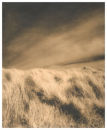 Sand Dunes