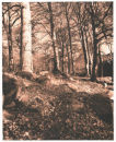 Cloghleagh, Wicklow