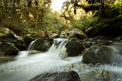 Rushing River