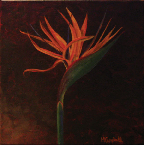Bird of Paradise