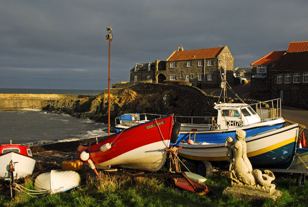 Craster