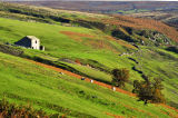 Barn