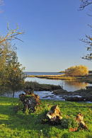 Budle Bay