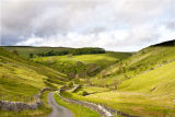 Winding Road