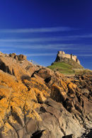 Castle 1