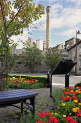 Tranquil Corner
