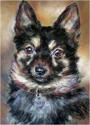 Alfi